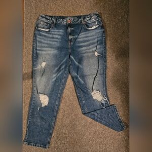 Maurices High Rise Distressed M Jeans